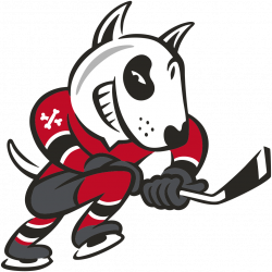 OHL - WNY Hockey Prospects