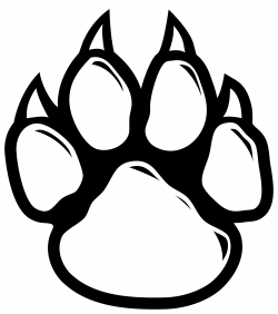 Wildcat Paw Dog Clip art - Cat png download - 1770*2000 ...