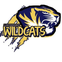Free Wildcat Clipart west shore, Download Free Clip Art on ...