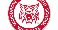Woodrow Wilson Wildcats - Girls Volleyball | SportsDayHS.com