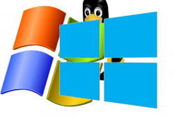 How to install two or more operating systems on one PC | PCWorld