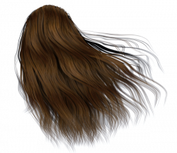 Hair PNG Clipart - Hair Transparent Background