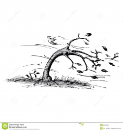 Image result for blowing drawing tree | Art | Wind drawing ...