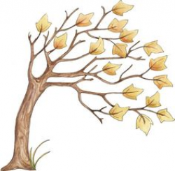 Free Windy Leaves Cliparts, Download Free Clip Art, Free ...
