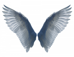 Wings 2 PNG by EveLivesey.deviantart.com on @deviantART | Art love ...