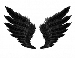 Black Angel Wings transparent PNG - StickPNG