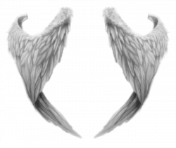 Fantasy Angel Wings transparent PNG - StickPNG