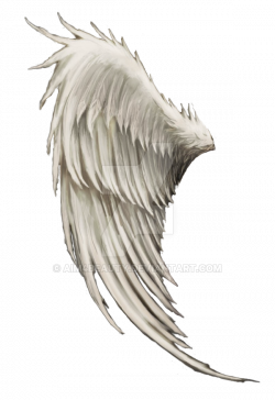 EXOTIC ANGEL, BIRD OR FANTASY WING by Aim4Beauty on DeviantArt