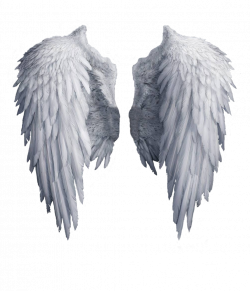 White angel wings PNG | wattpad stuff | Pinterest | Angel wings png ...