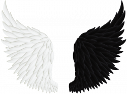 Angel Clip art - Black And White Wings png download - 900 ...