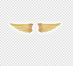Gold wing logo, Wing , Golden wings transparent background ...