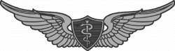 Parachutist Badge (United States) | Military Wiki | FANDOM powered ...