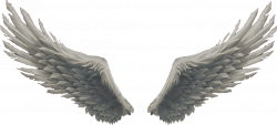 angel wings God - Sticker by Bogdan Sinu