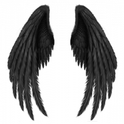 Transparent Black Wings PNG Clipart Picture | elementy dekoracyjne ...