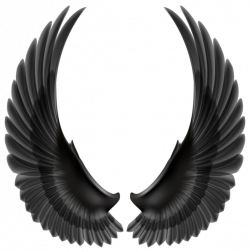 Black Wings PNG Clip Art Image | Gallery Yopriceville - High ...