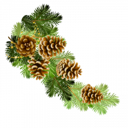 Mis Laminas para Decoupage | Decoupage, Pine and Pine cone