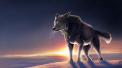Alpha Wolf M | Free Images at Clker.com - vector clip art ...