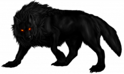 Black Wolf Pictures - PNG free download