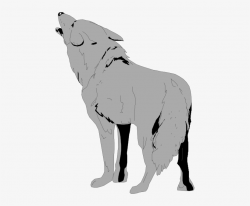 Small - Wolf Clipart Transparent Background PNG Image ...