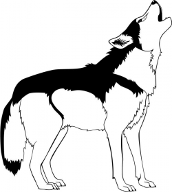 Wolf black and white clipart clipart kid - Cliparting.com