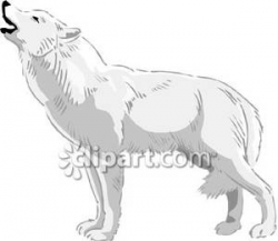 Realistic Howling Wolf - Royalty Free Clipart Picture