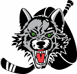 Young american wolf clipart - Clipground