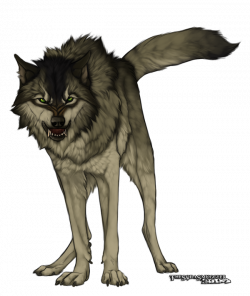 Winter-Alpha-Wolf (Wolf) | DeviantArt