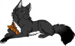 Wolf with teddy bear by SexyBabe1223 on DeviantArt