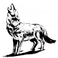 Free Wolves Cliparts, Download Free Clip Art, Free Clip Art ...
