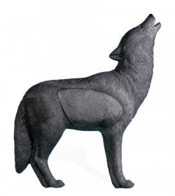 Wolves Grey Fox Transparent & PNG Clipart Free Download - YA ...