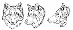 how-to-draw-wolves-drawing-head-26 | wolves in 2019 | Wolf ...