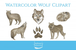 Watercolor Wolf Clipart ~ Illustrations ~ Creative Market