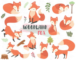 Woodland animal Clipart 