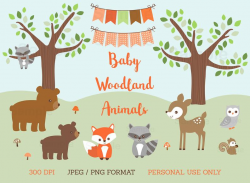 Woodland Animal Clipart / Woodland Baby Shower / Forest Animal Clipart /  Baby Woodland Animals / PERSONAL USE Instant Download A469