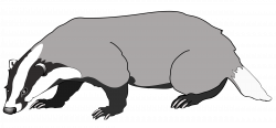 badger by @frankes, badger drawing, on @openclipart | Badger ...