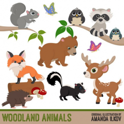 Premium Woodland Animal Clip Art, Woodland Animal Vectors ...