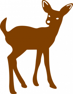 Deer Fawn Bambi Brown Mammal transparent image | Deer | Pinterest