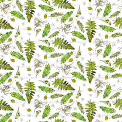 woodland ferns in watercolor giftwrap - madeinskandia ...