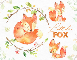 Little Fox. Cute animal clipart, watercolor, woodland, forest, wreath,  floral, greeting, invite, babyshower, kids, nice, red, planners, fxbn