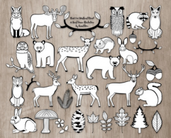 Black and White Woodland Clipart Bundle - 30 Hand Drawn Forest Animal  Outlines