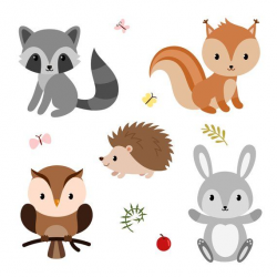 Cute forest animals. Baby shower clipart. Digital clipart ...