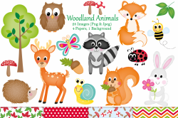 Woodland clipart, Woodland animal graphics & Illustrations