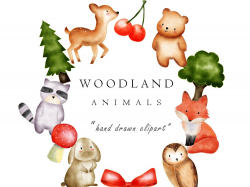 Watercolor Woodland Animal Clip Art Images by turnip on Dribbble