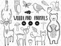 Woodland Animals Clipart, Woodland Animals Download ...