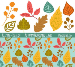 Fall Leaves clip art set - Woodland Clipart - Autumn Leaves Collection Clip  Art and Digital Paper