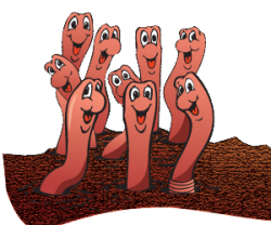 Dirt And Worm Clipart