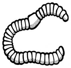Image result for black and white clip art of earth worm ...