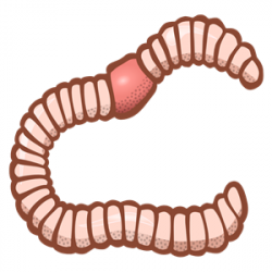 worm - coloured clipart, cliparts of worm - coloured free ...