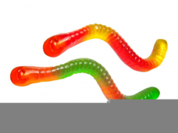 Clipart Gummy Worms | Free Images at Clker.com - vector clip ...