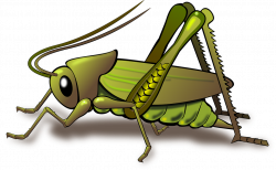 Cartoon Grasshopper#4426736 - Shop of Clipart Library